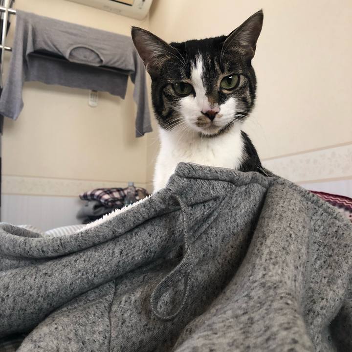 5a678069 cc96 4c20 ad99 797e8f9e0f32 1552160820342