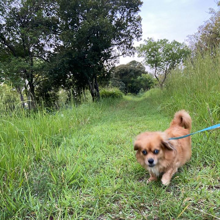 5a67947b 565e 4d5b 8954 06033123597a 1600899389872