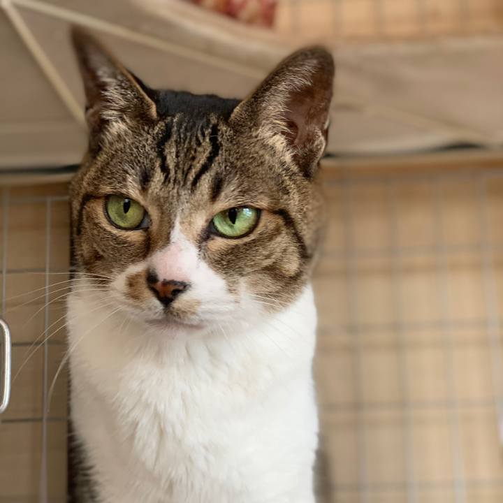 5a679a79 272c 401a 955a 216444ece8a5 1581556476143