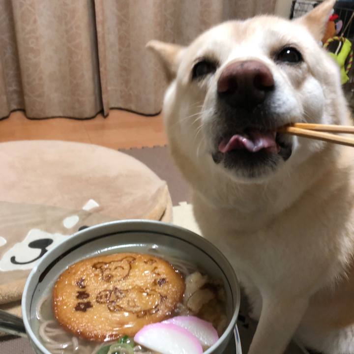 5a679c5f a5af 4367 85f3 4e51ec2d68dd 1546250472859