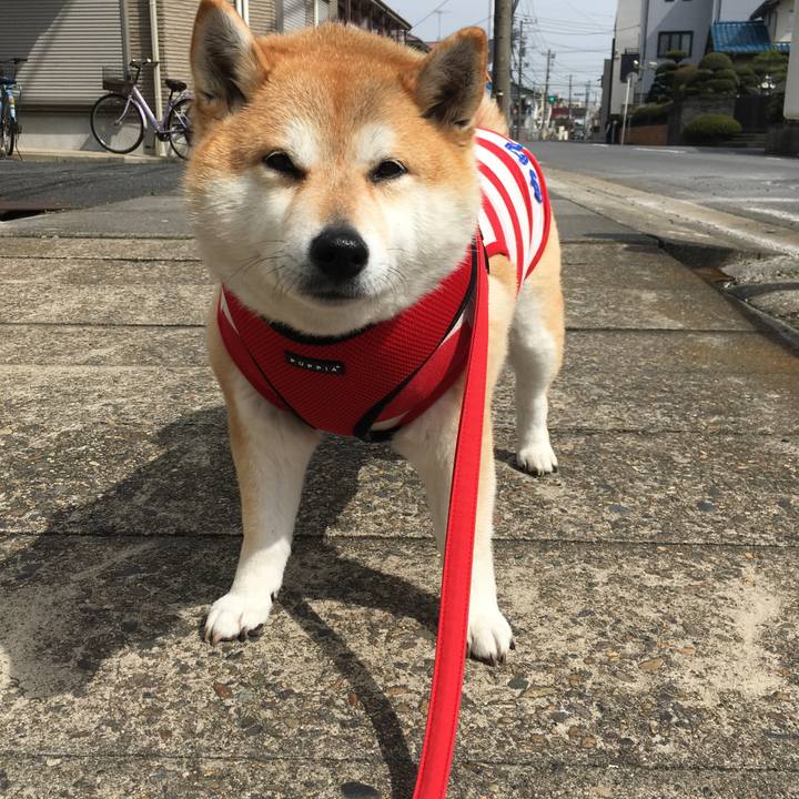 5a67a4d7 1ce9 4f86 a538 20b1e61014a5 1584067985674