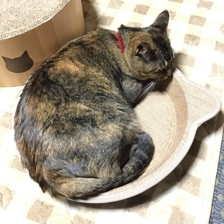 5a685d68 1175 42bb 8ad9 15f4918760df 1730017821581