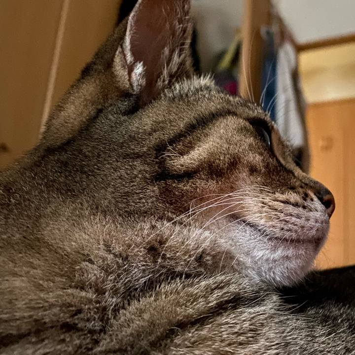 5a68700b 59c1 4b2c b885 6d30956fc550 1762324828662