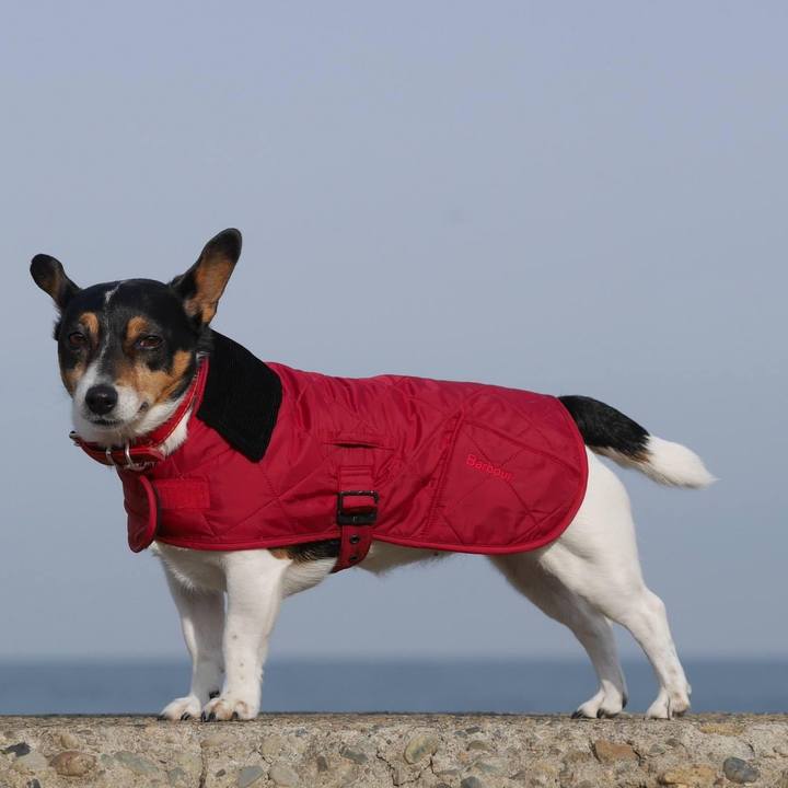 5a68ada4 de24 470d a8ea da03059d465d 1646267324071