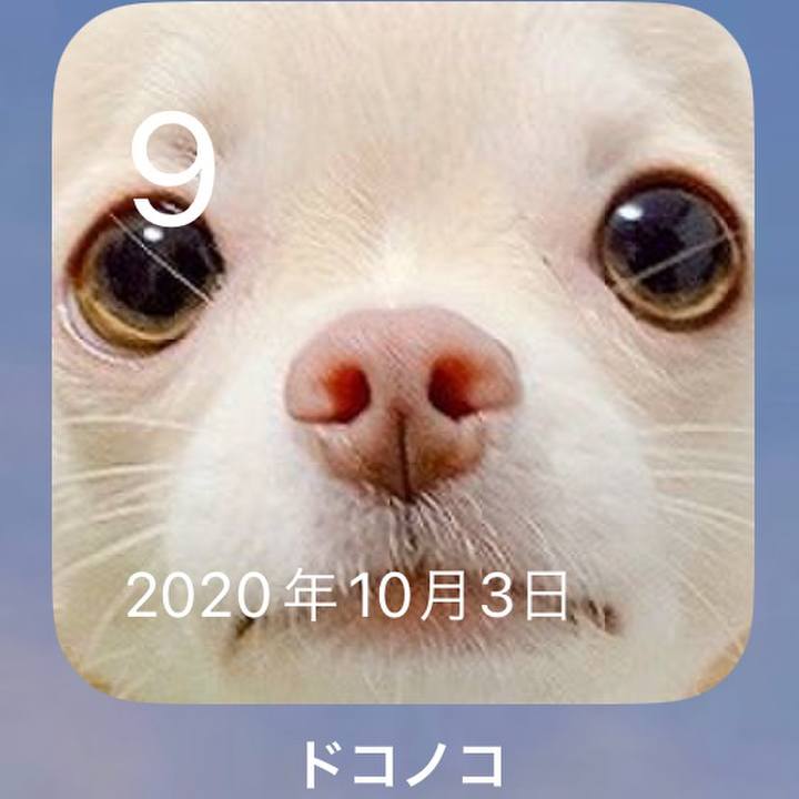 5a68b0d8 7fa6 47b8 9a3c 92576c26884b 1696835716725