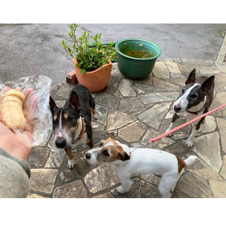 5a68dc07 5972 4d23 86e5 7b3199ff860d 1586607933932