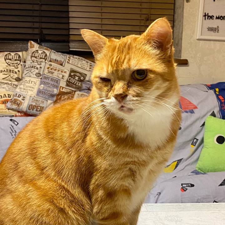 5a68e47a 315e 4d27 9ee3 80933d459619 1636043120363