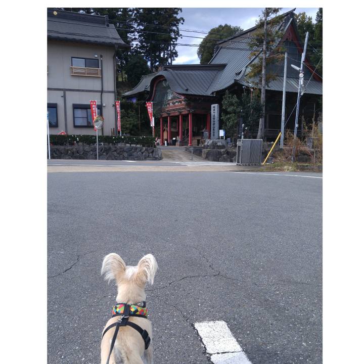 5a68e940 b5b6 419f 84ca 84b06df69918 1510398100173