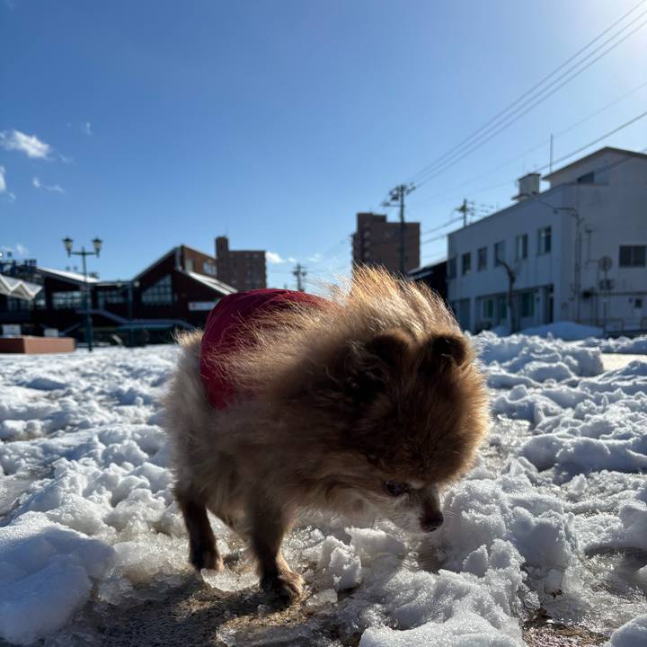 5a68ff65 b1ff 45fe 8a1f 4de372d81fda 1765000770015