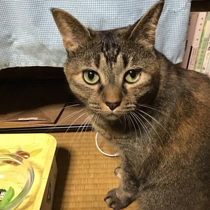 5a6901d6 7664 4bdc a79d 3d2ea9885441 1731843715764