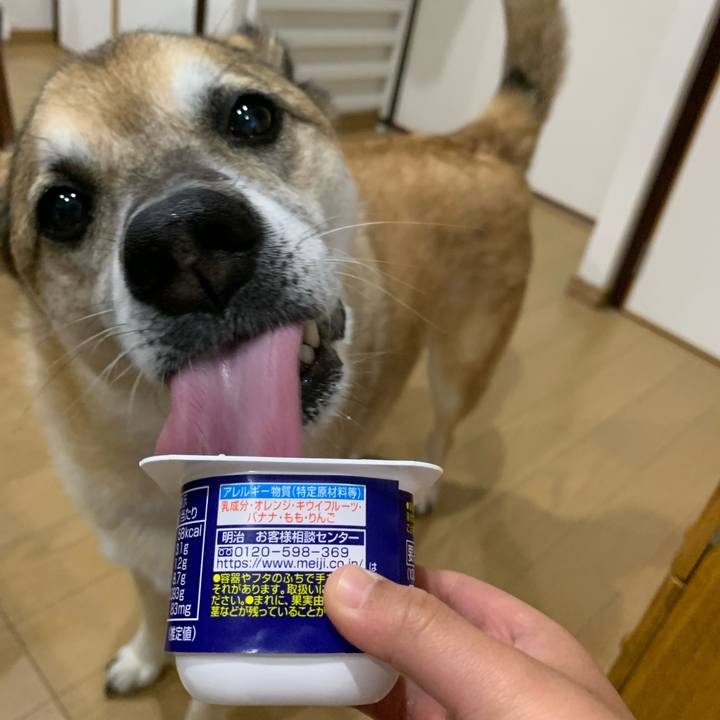 5a69117b 0544 4049 be43 22f6591bc0eb 1637564518511