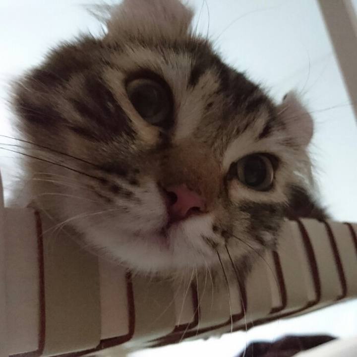 5a692dd5 ccfa 48b7 a71d 97de11977bb0 1615085019600