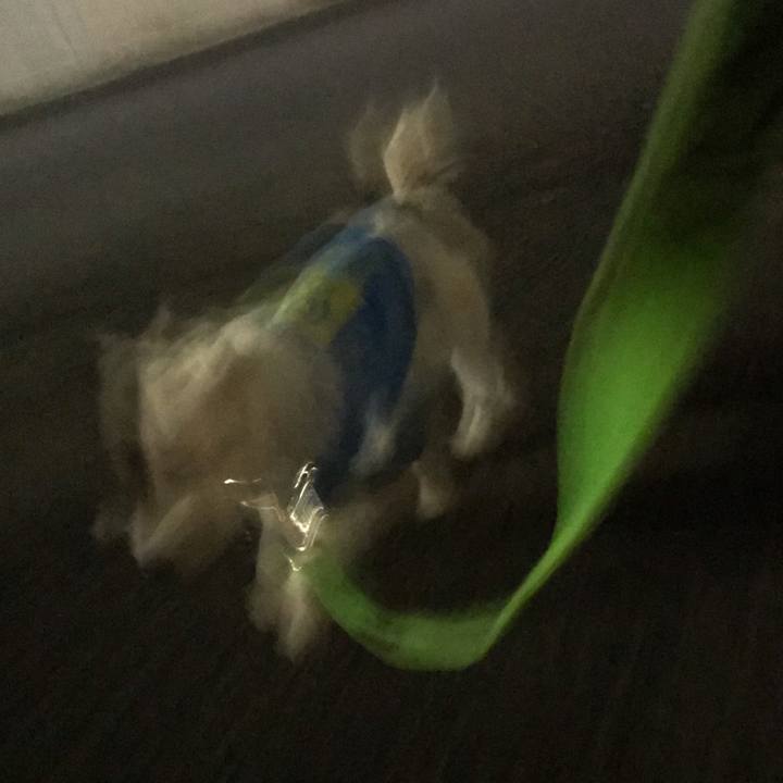 5a6935d3 d602 4dd6 abd8 8375a5617fbe 1543412712135