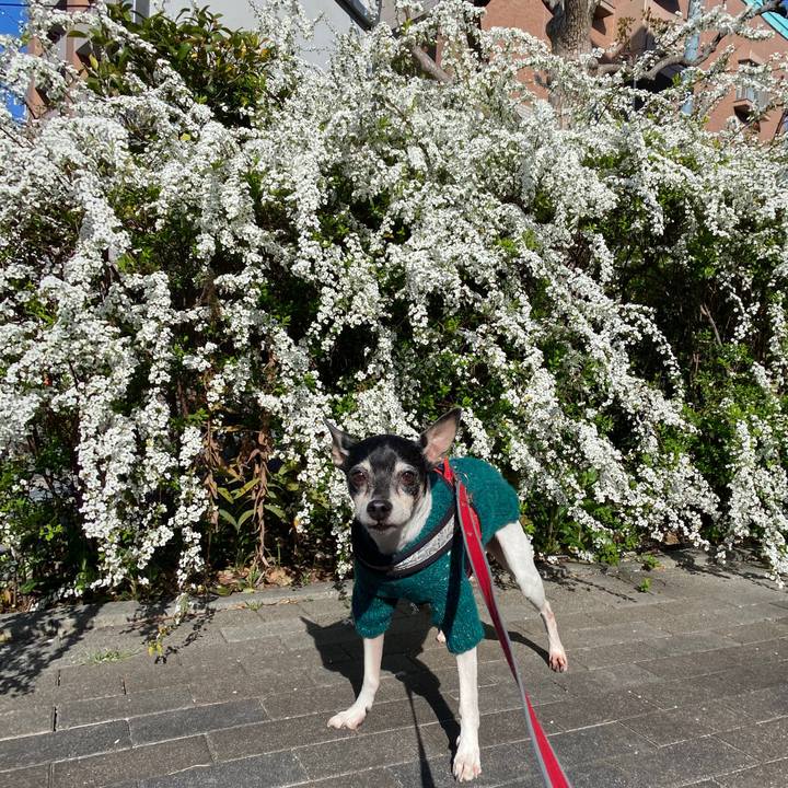 5a694477 0f50 4525 a9d0 5bb53fa9bfb7 1584663170258