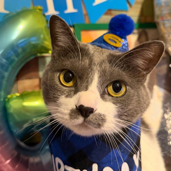 5a69485b 5890 496f 95b7 66a67d8584c7 1766312812474