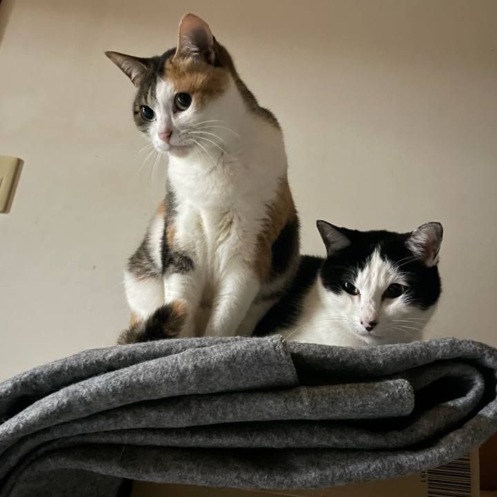 5a695f0a 6346 4492 b10b 18aa3df4dfcf 1684838860979