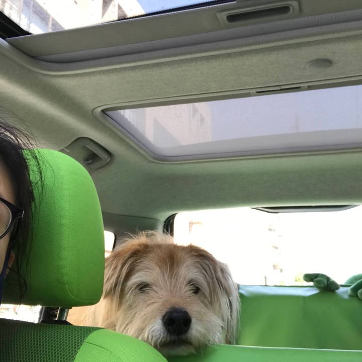 5a699adb 6cc0 498b 86a5 cb196a73cad4 1622001735072