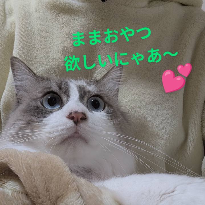 5a699ec0 9535 4ee6 a98c 4e2a658e91c1 1742759441265