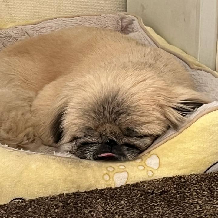 5a6a253c 1101 4013 be33 30e20a3e5d8b 1734821902674