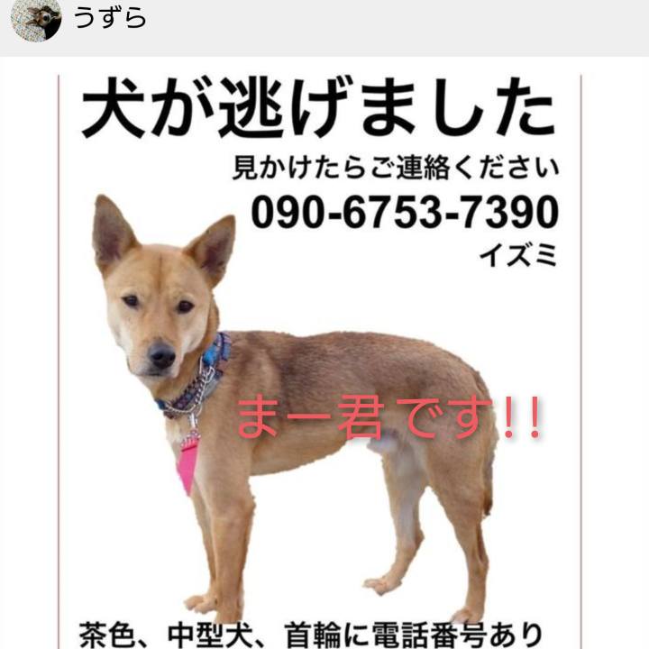 5a6a3ebc 79d1 4f7d 9763 1dc66fa0e708 1605797489972