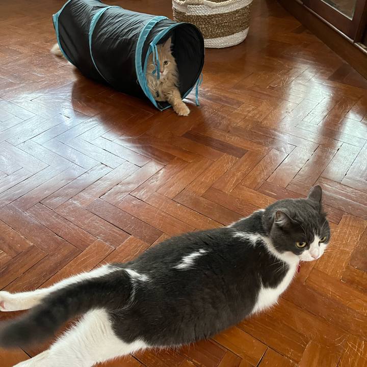 5a6a5f77 b83a 4d81 957d 8f11d5b181dc 1762757587399