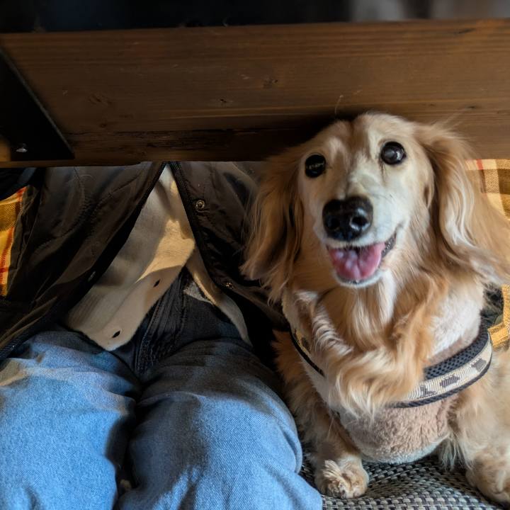 5a6a81d4 c978 4cd2 a4f6 4e990f314565 1770001991808