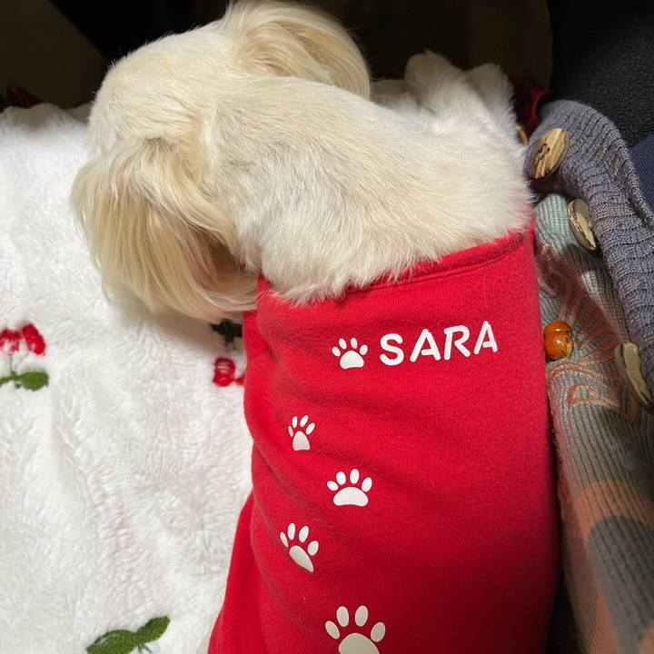 5a6a9d7a 4456 4d50 8cd0 3c93b1c4bda3 1679055979528