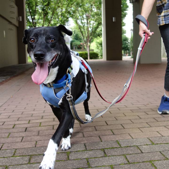 5a6af141 cce8 4b31 a5d8 0aaa24811b0f 1721866445246