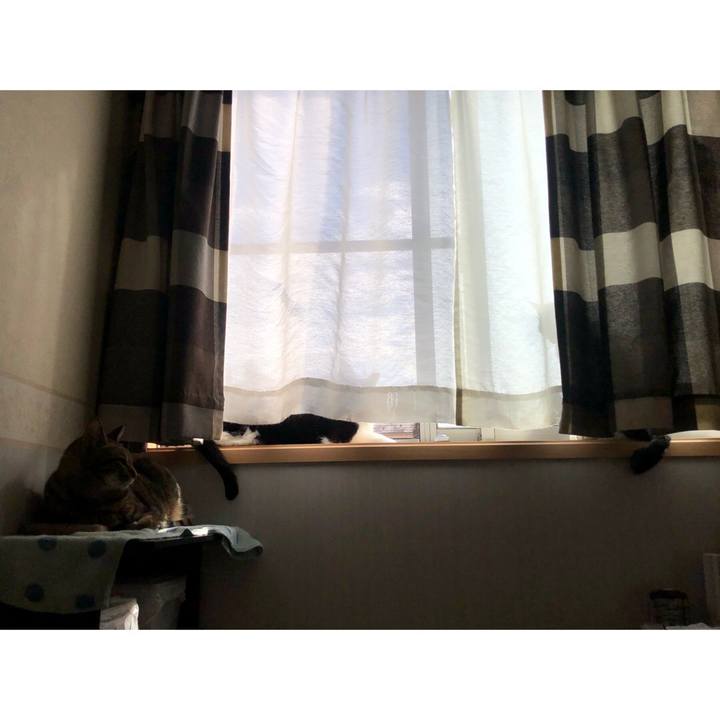 5a6af2da 862c 4fb6 af1e df24d5d9709f 1603019208820