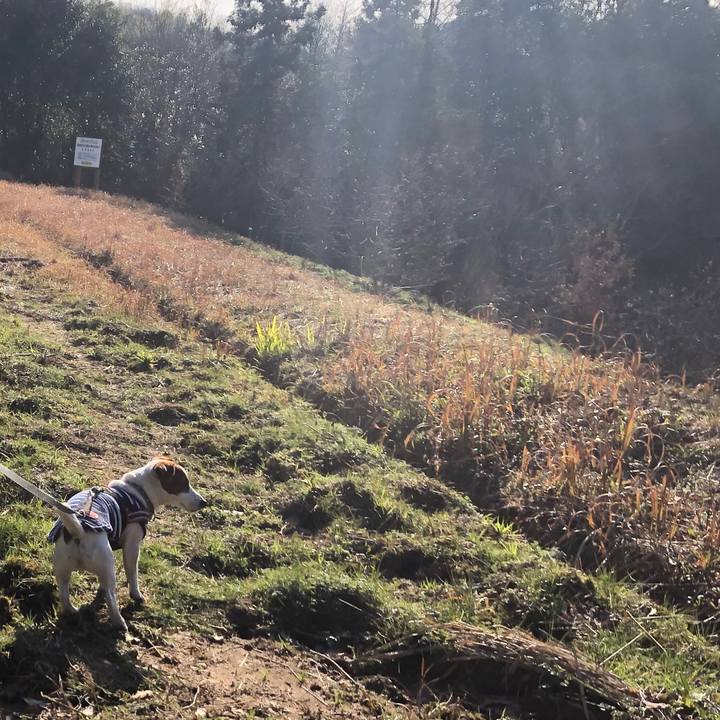 5a6be4ae 59e5 4017 a524 a68ed049006e 1552122403845