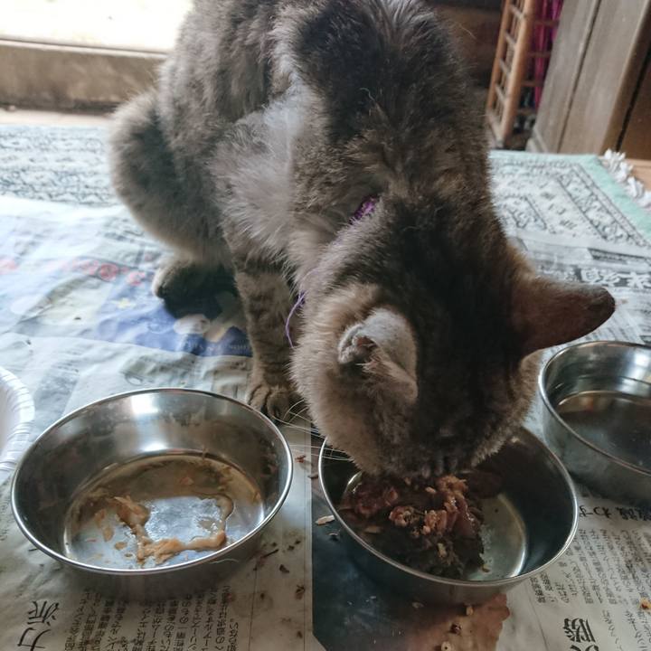 5a6bf04c b4e1 438c b370 05bbdbb04fba 1598169376124