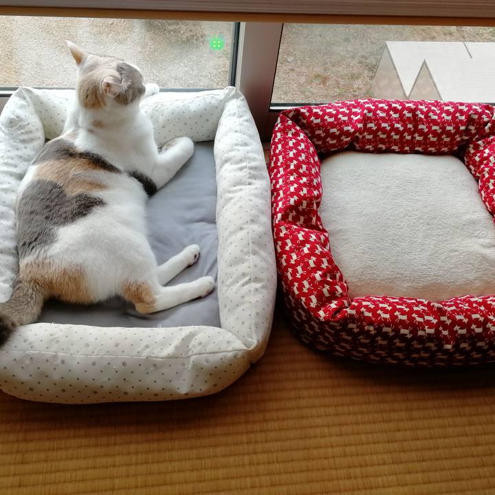 5a6c56a5 3368 48a1 89b0 00ad9843444f 1573975538917