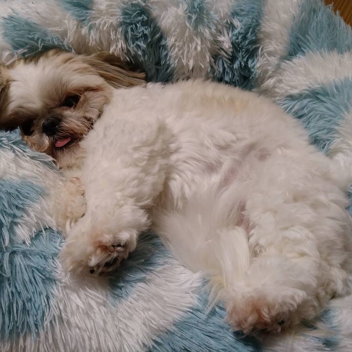 5a6c6057 23c6 4d0d a1da 37192691a3e3 1629512141464