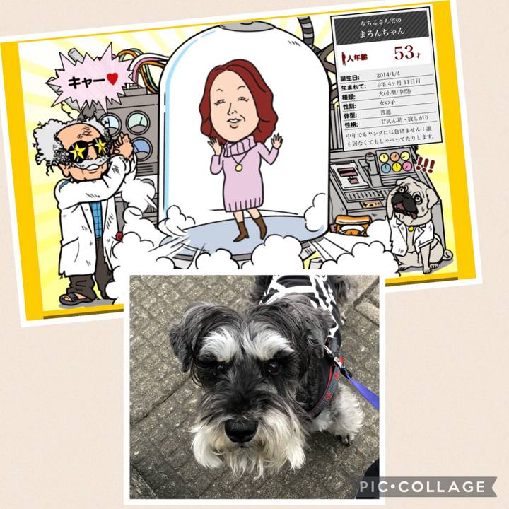 5a6c62f0 6ba5 42a2 a479 bbfef60b60ad 1684161342716