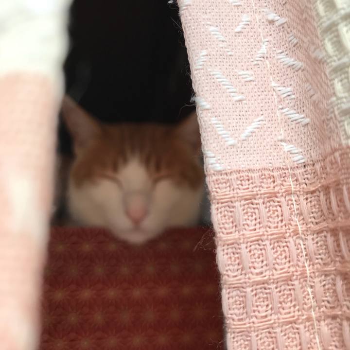 5a6c7752 8bc4 4c85 8d0c 53b0c1a4cc43 1520501302136