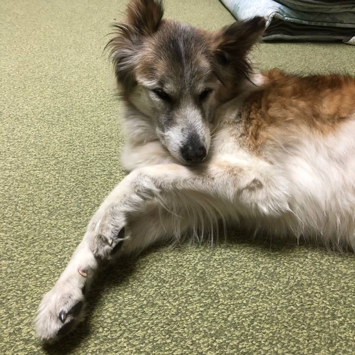 5a6cad6b 037b 4aa8 ad29 4fa062f28651 1544507416008