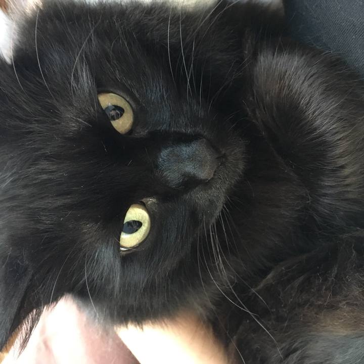 5a6cbc3b e290 4dcd 8013 fdc9255ef984 1515677216296