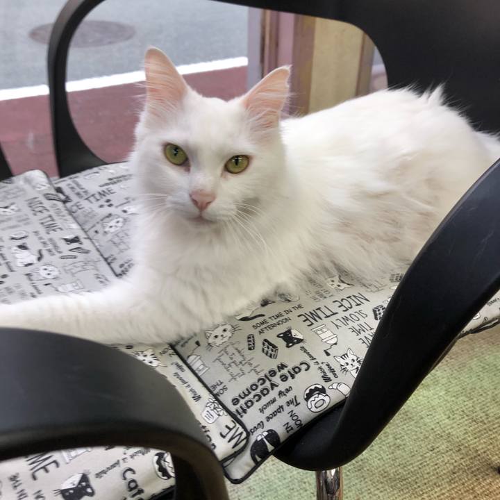 5a6cc351 9a32 4e08 bff2 44bee0d6e819 1645489123568