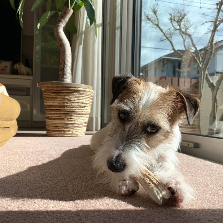 5a6cda0d 54c2 45d2 bbe2 171afe338749 1580443677443