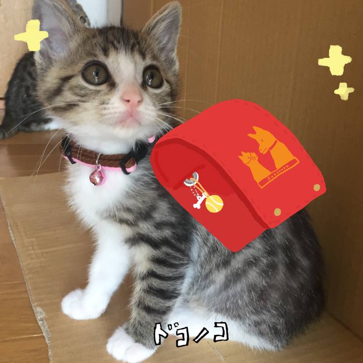 5a6ce123 b7b3 4084 a103 21798a2ef92c 1744290836408