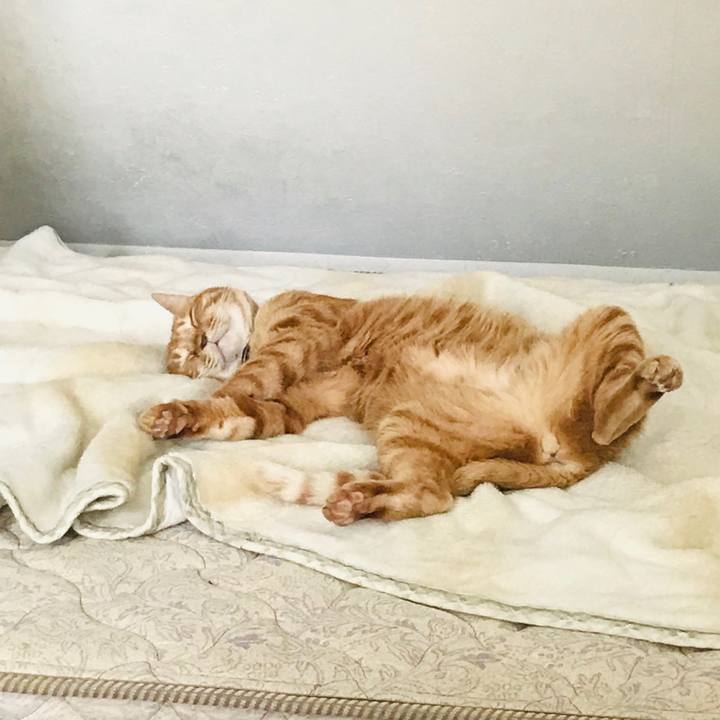 5a6ce636 d800 42a1 9219 7d3c4b63bb0c 1559135817803