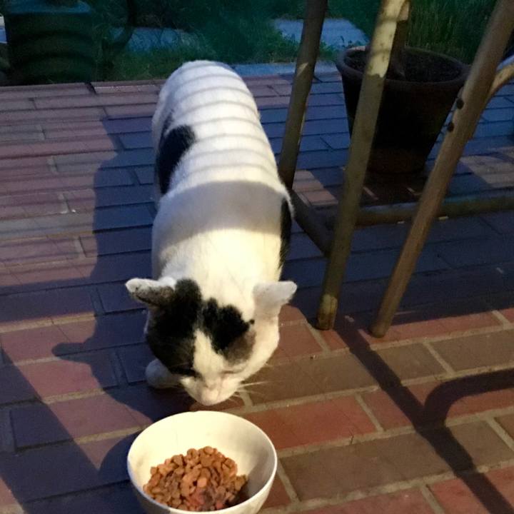 5a6cee18 e03e 42eb 8d7d 6f7c9bbd9f03 1566382240238