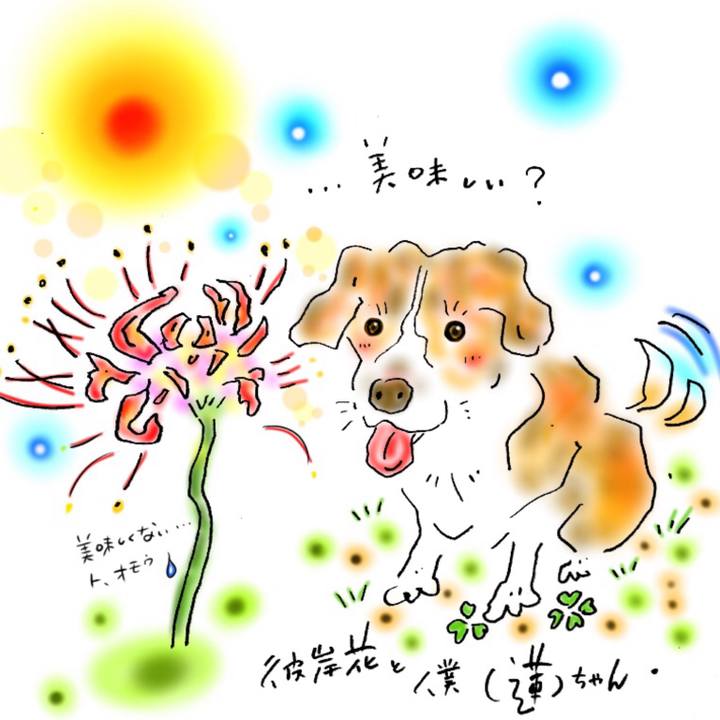 5a6d045f b6aa 40d6 998b e806ab07ad47 1601729687431