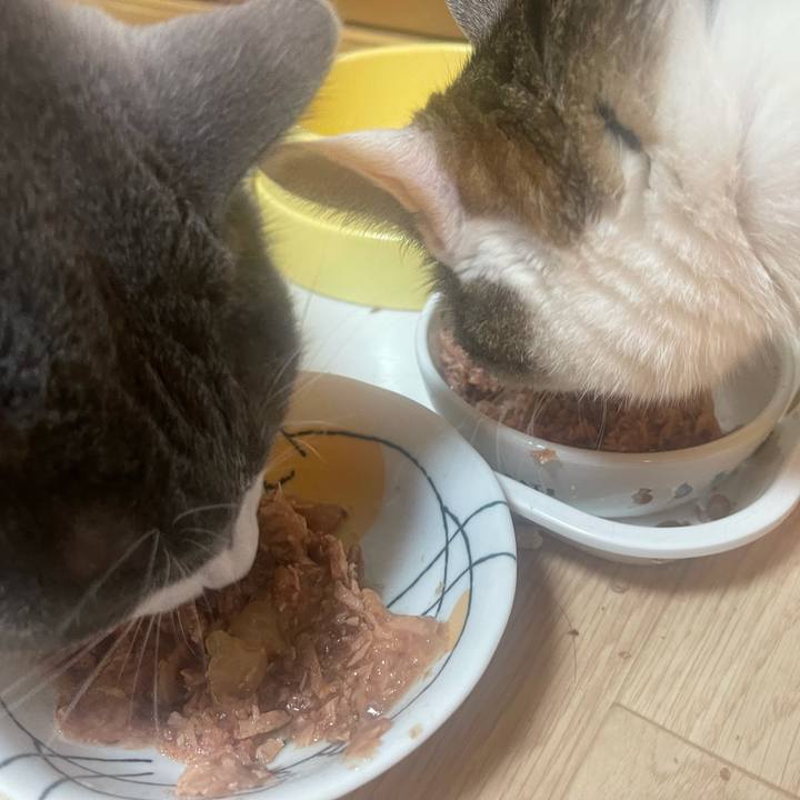 5a6d7d9a dba3 43f6 829e 4b8d6adf7d67 1625829135621