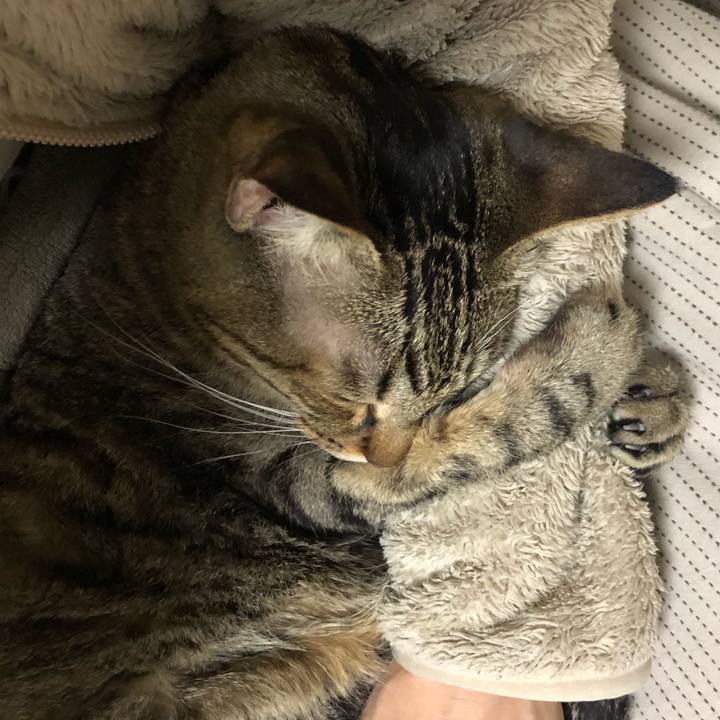 5a6d8040 e726 4202 88a8 a78329e7560b 1615022306923