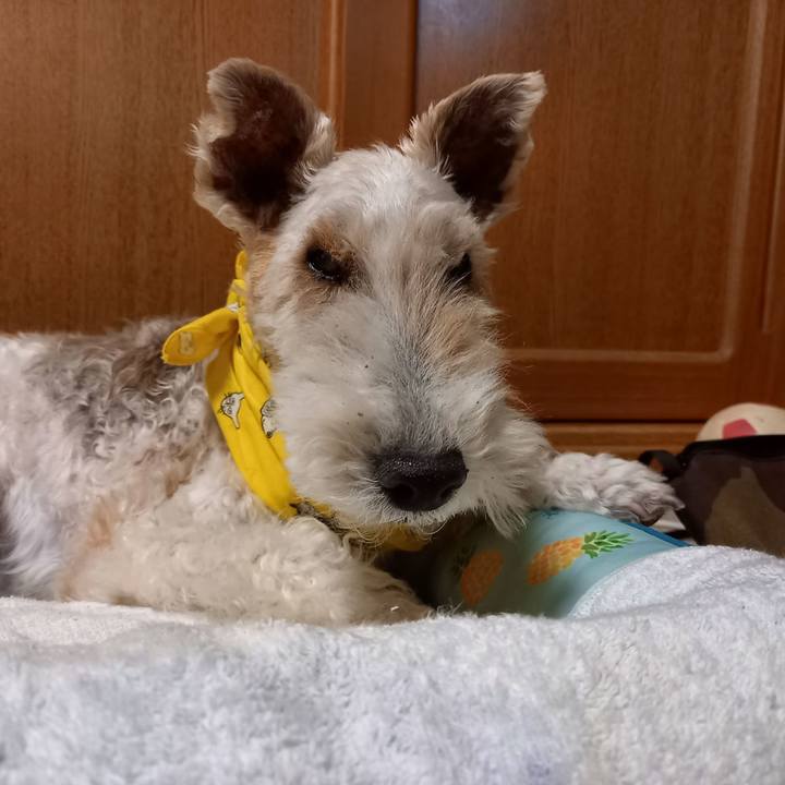 5a6d9719 5d1a 4dfb a0af 8fd125df14d3 1656543265097