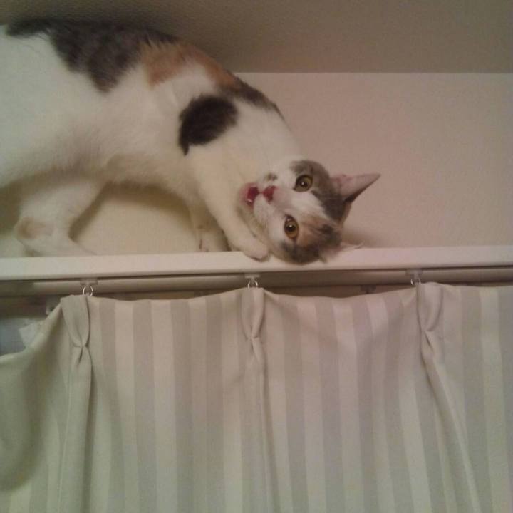 5a6d9ab9 63fe 40ca 9c6a 9fdf9b1c5a2d 1692591416388