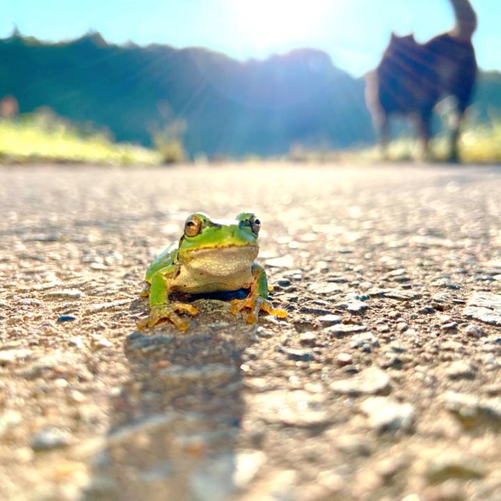 5a6dc542 3dd4 49b9 81d9 df57be0078f0 1590788703052