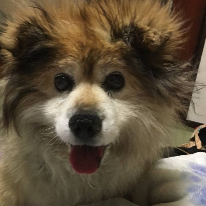 5a6e1775 3d85 4735 bc72 86473186140c 1604653398003