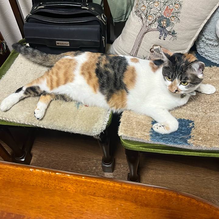 5a6e1c80 e54c 4c54 aa90 6cfcd613a919 1768381543493